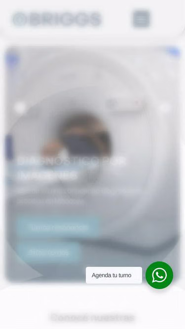 Screenshot of briggs.com.ar