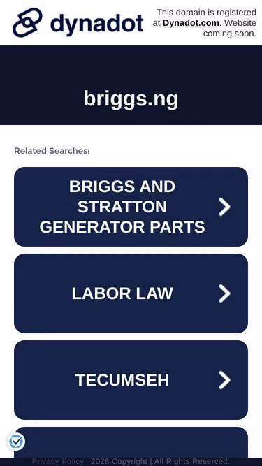 Screenshot of briggs.ng