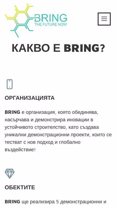 Screenshot of bring.bg