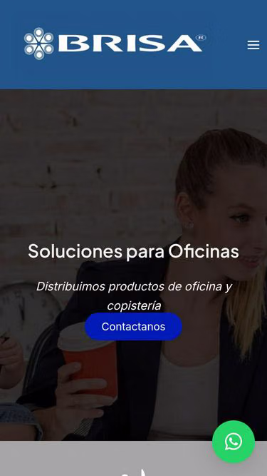 Screenshot of brisa.com.py