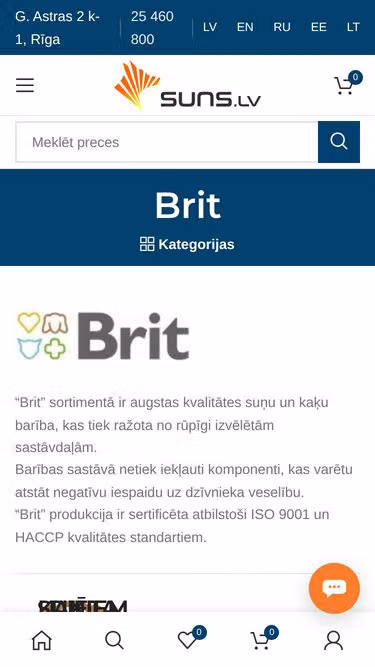 Screenshot of brit.lv
