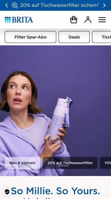 Screenshot of brita.ws
