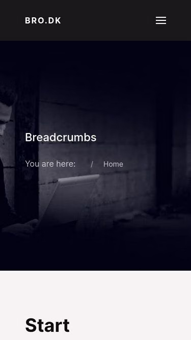Screenshot of bro.dk