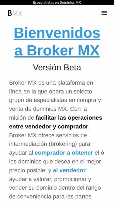 Screenshot of broker.mx