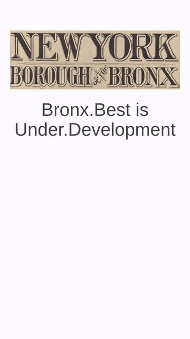 Screenshot of bronx.best