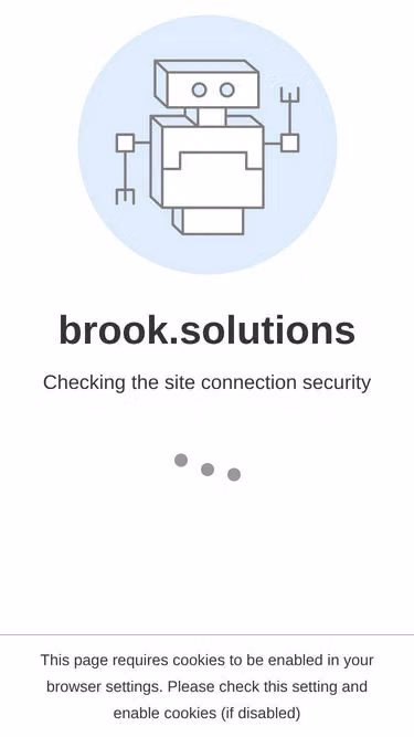 Screenshot of brook.solutions