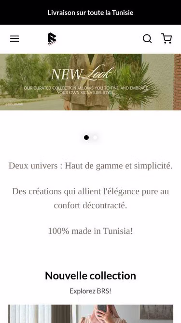 Screenshot of brs.com.tn