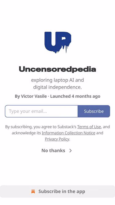 Screenshot of brunch.news
