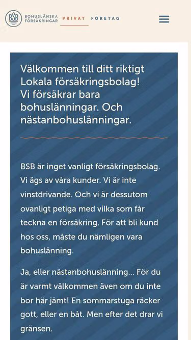 Screenshot of bsb.se