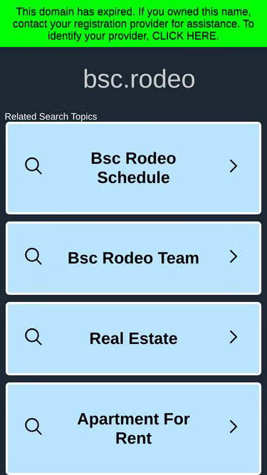 Screenshot of bsc.rodeo