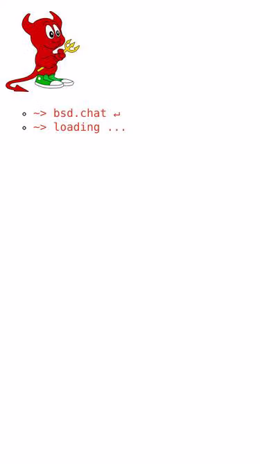 Screenshot of bsd.chat