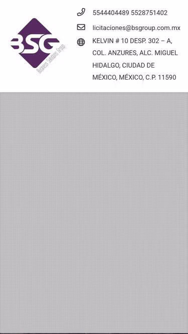 Screenshot of bsgroup.com.mx