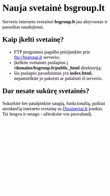 Screenshot of bsgroup.lt