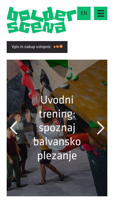 Screenshot of bsgroup.si
