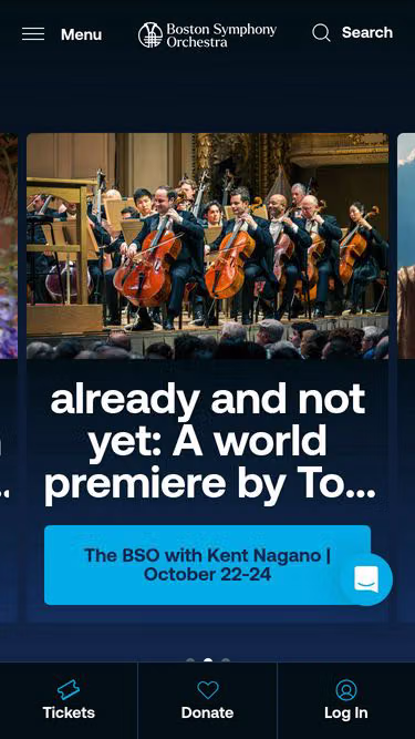 Screenshot of bso.org