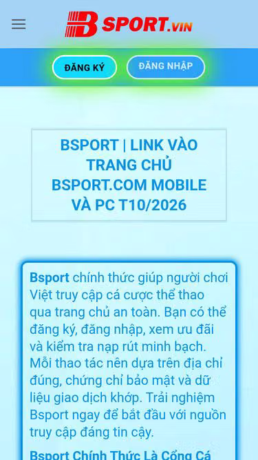 Screenshot of bsport.credit