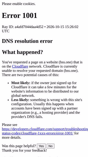 Screenshot of bss.one