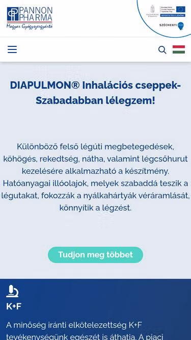 Screenshot of bst.hu