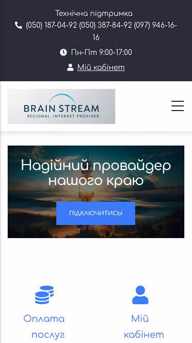 Screenshot of bst.org.ua