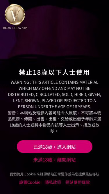 Screenshot of bsv.com.hk