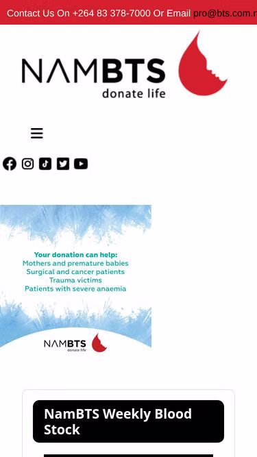 Screenshot of bts.com.na