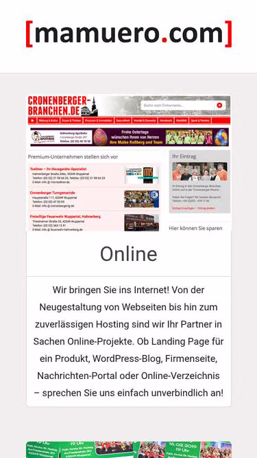 Screenshot of buch.promo