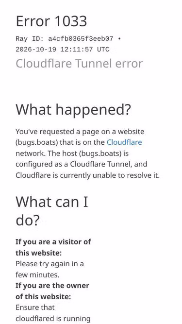 Screenshot of bugs.boats