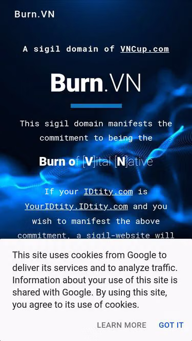 Screenshot of burn.vn