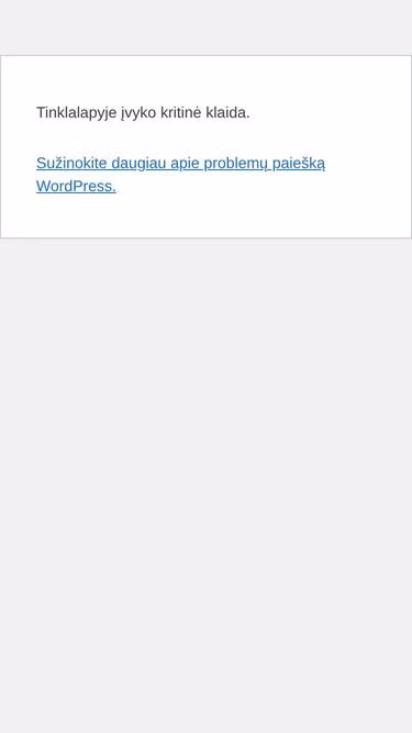 Screenshot of burp.lt