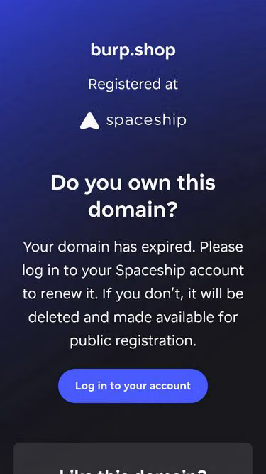 Screenshot of burp.shop