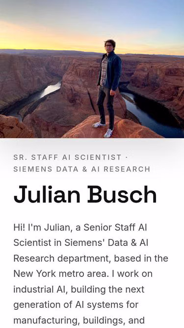 Screenshot of busch.ai
