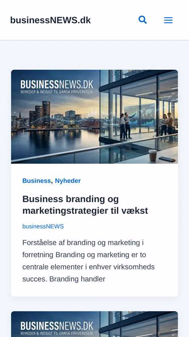 Screenshot of businessnews.dk