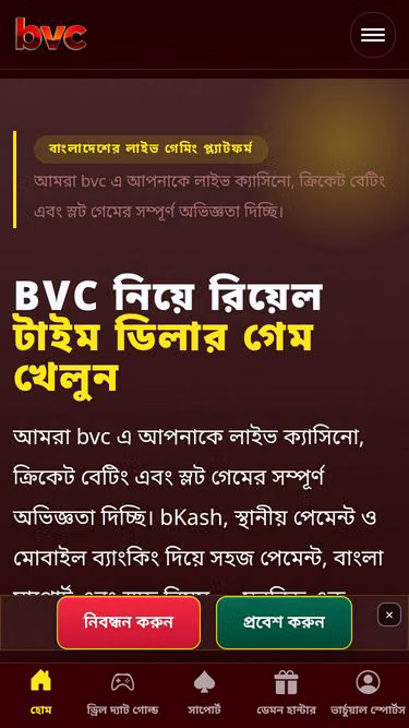 Screenshot of bvc.bet