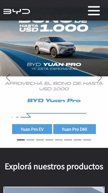 Screenshot of byd.com.uy