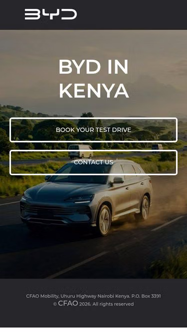 Screenshot of byd.ke