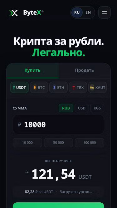 Screenshot of bytex.kg