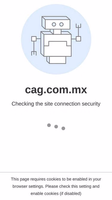Screenshot of cag.com.mx