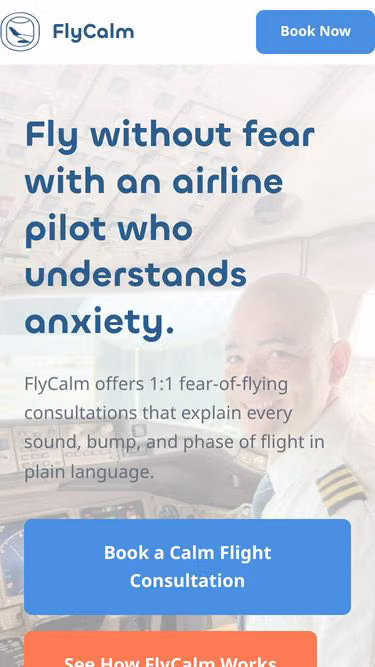 Screenshot of calm.flights