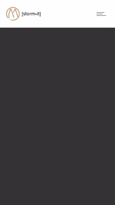 Screenshot of camel.dk
