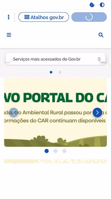 Screenshot of car.gov.br