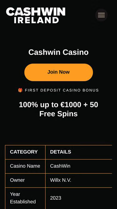 Screenshot of cashwin.ie