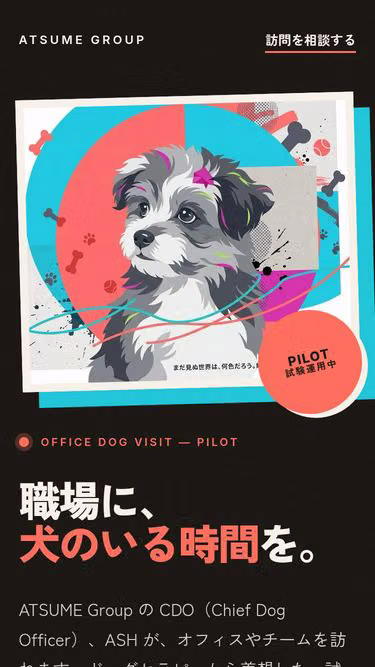 Screenshot of cdo.dog