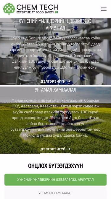 Screenshot of chemtech.mn