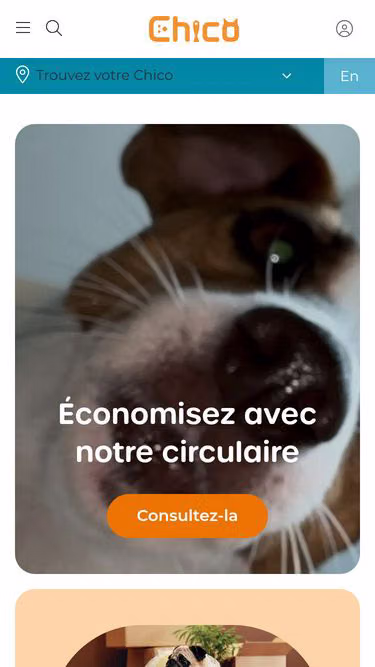 Screenshot of chico.ca