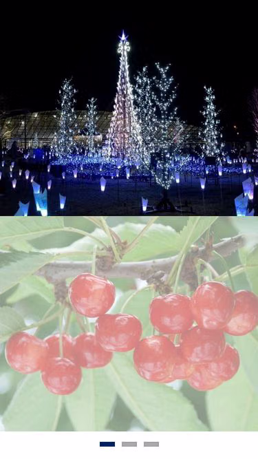 Screenshot of city.sagae.yamagata.jp