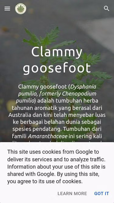 Screenshot of clam.my.id