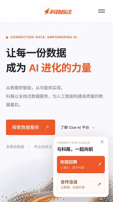Screenshot of clue.net.cn