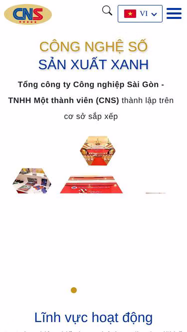 Screenshot of cns.com.vn