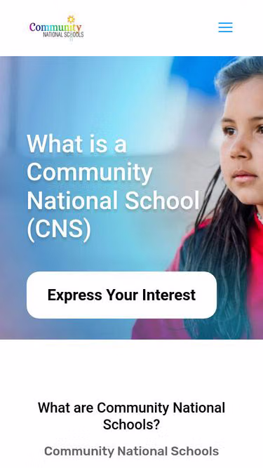 Screenshot of cns.ie