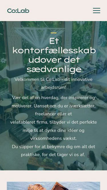 Screenshot of co-lab.dk